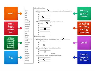 ECD Ch6 Act15 Organization of the reading - Motor Development