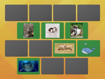 WHAT ANIMAL DOES IT LOOK LIKE?