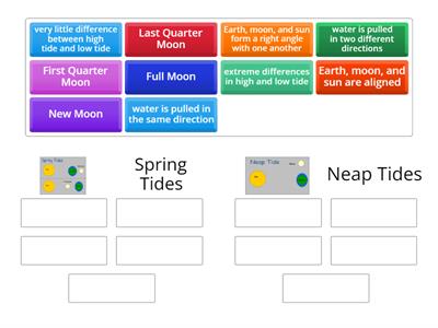 Spring & Neap Tides Comparison