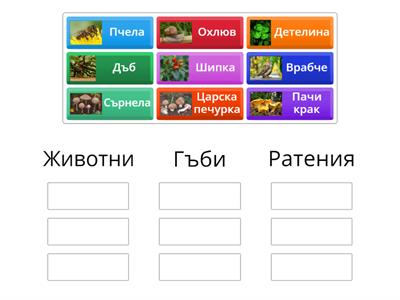 Групиране на организмите