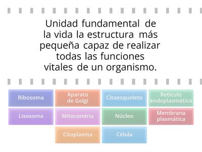 biología celular bachillerato