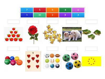  Counting ( kindy28 )