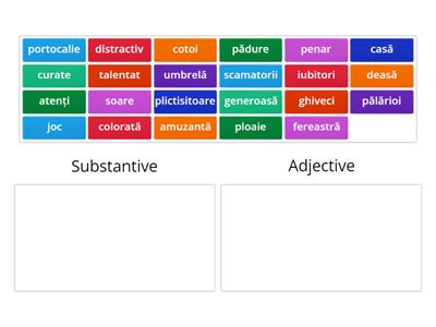 Substantiv sau adjectiv?