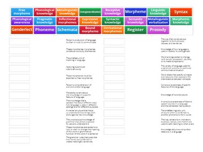 Language Development