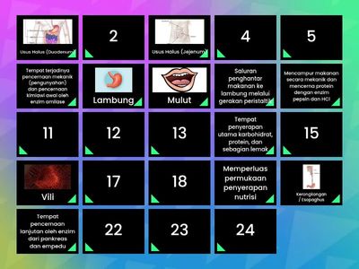 Struktur dan Fungsi Organ