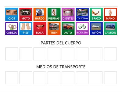 Separá por categorías (CUERPO-TRANSPORTE)