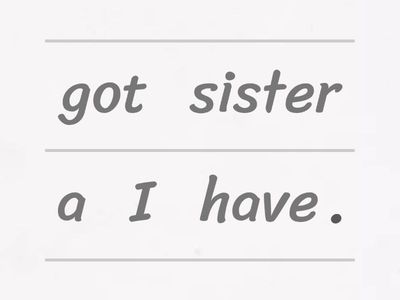 Have got / Has got sentences and Questions