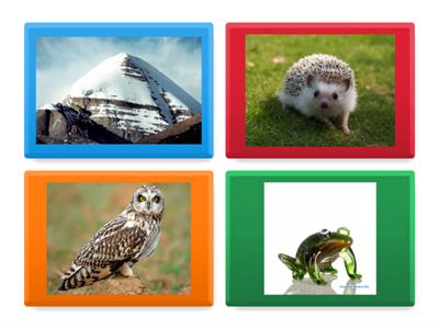 В парке. Лес. РКИ