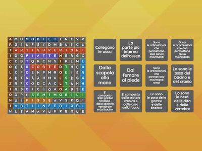 SCIENZE - LO SCHELETRO E LE OSSA