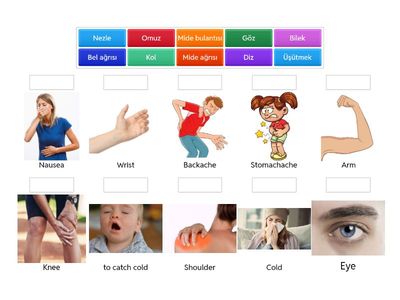 Turkish II /Hastaliklar