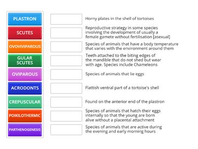 REPTILE 3 Anatomy & Physiology Key Points