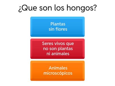 Descubre el mundo de los hongos