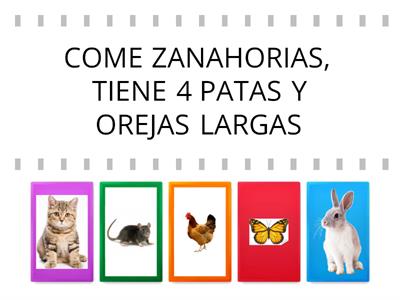 ENCUENTRA LOS ANIMALES DEL CUENTO