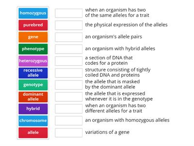 Mendelian Genetics Vocabulary
