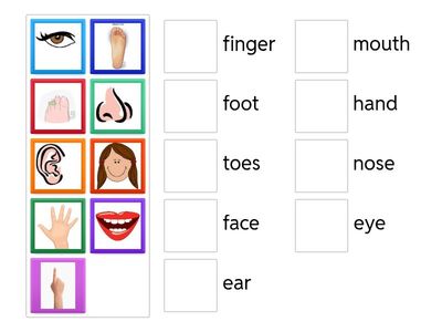Parts of the Face Doodle 2