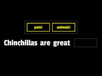 The Chinchilla GAme Show