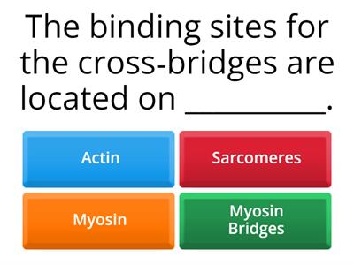 Muscle Contraction Quiz