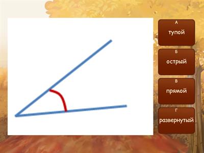 5 класс Виды углов