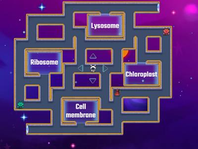 Cell Function PacMan