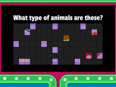Vertebrates & Invertebrates
