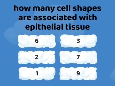 epithelial tissue