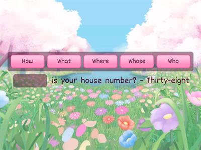 Question words (4) Spotlight 4