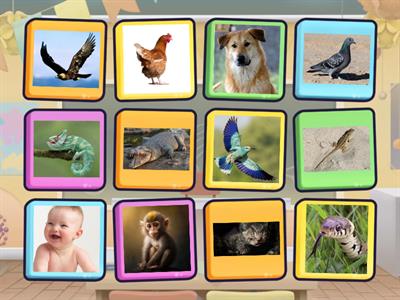 Flip it and classify animals