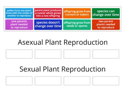 Plant Reproduction