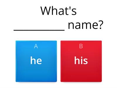 Possessive pronouns 