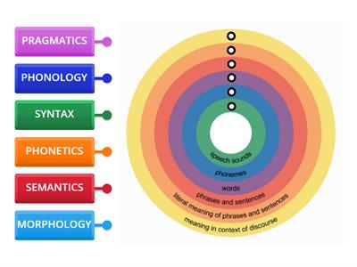 Linguistic levels