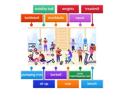 B1 - Gym Vocabulary.