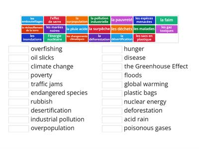 THE ENVIRONMENT (FRANCAIS)