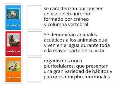 clasificacion de los animales