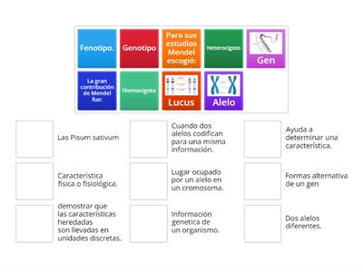 Conceptos de genética.