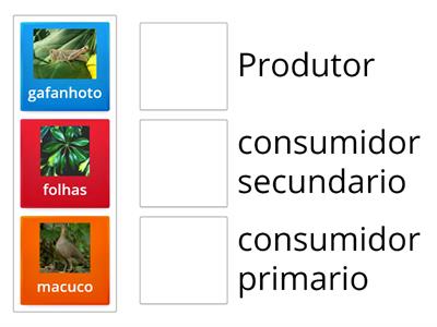 Cadeia alimentar-Pedro Bottcher