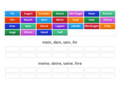 Körperteile. Possessivpronomen. DaF A1