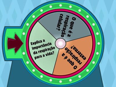 Sistema respiratório