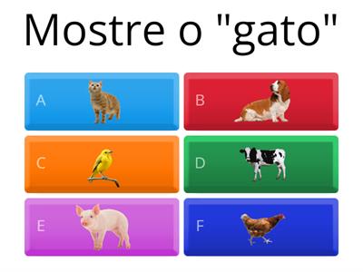 Ouvinte 6M