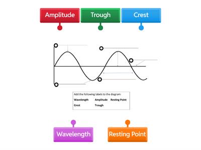 Label the parts of the wave