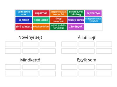 Növényi és állati sejt összehasonlítása