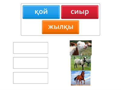 Тығыз, тар қынап