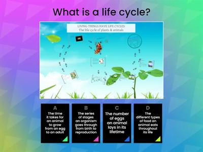 3 stages Animal Life Cycles by BuaPaiUnited