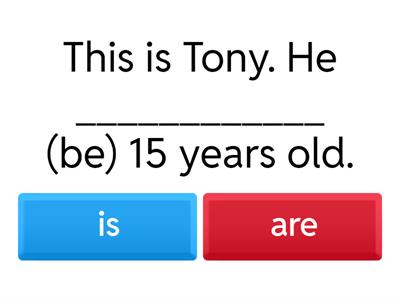 WILITI - PRESENT SIMPLE TENSE - 2