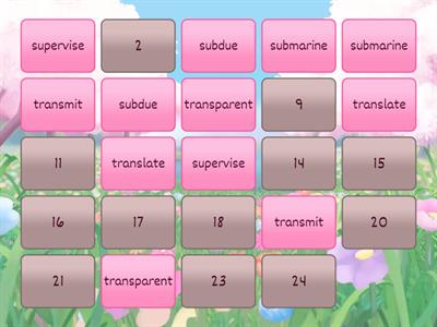 Amber Guardians Book 6 memory game - sub-, super-, trans- prefixes