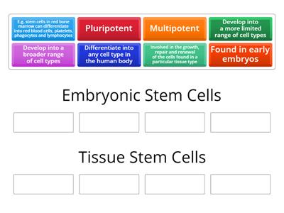 1b Stem Cell Types Grouping Activity