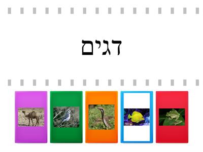 בעלי חיים - בעלי חוליות 