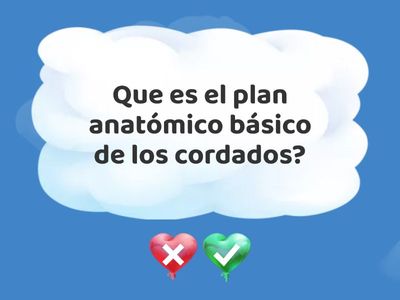 EMBRIOLOGIA 6 (Periodo somitico)