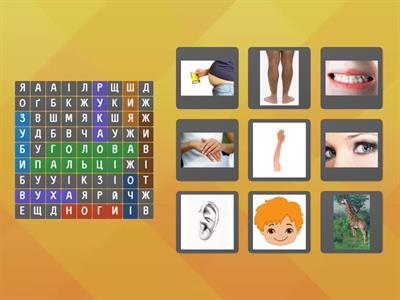 Частини тіла