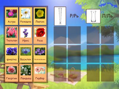Цветы. Дифференциация звуков Р/Рь, Л/Ль. Лексическая тема лето.