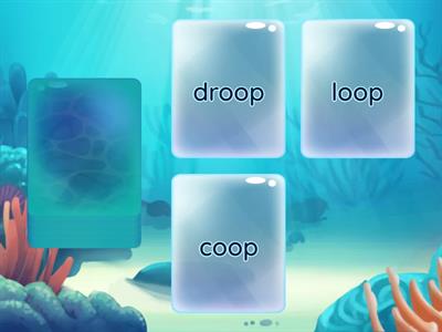 Long /oo/: oo Card Deck